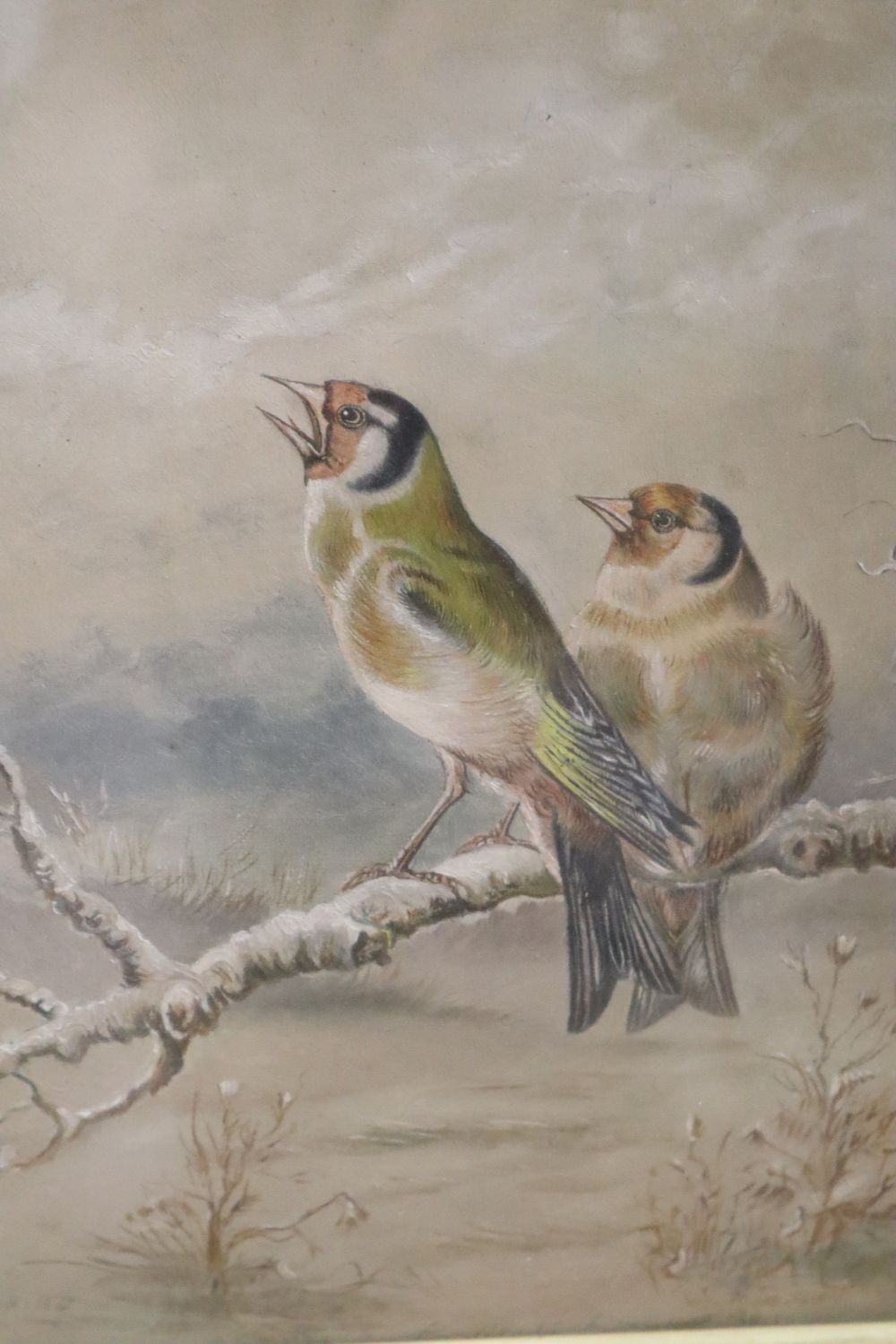 W.H. Hawkins, pair of oils on board, Bull finches and Gold finches in winter, signed, 26 x 19cm